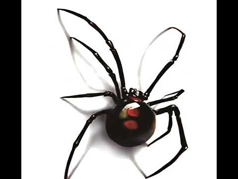 PLANEJAMENTO CERTO . DJ QUERIDIN .  MC MAGRINHO .MC RANGEL . MC V4