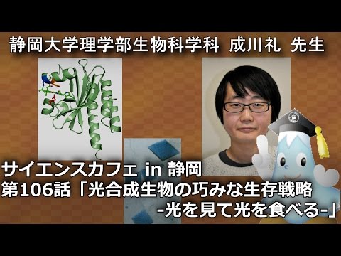 「光合成生物の巧みな生存戦略 -光を見て光を食べる- 」成川礼先生 サイエンスカフェ第106話 理学部生物科学科 - 静岡大学