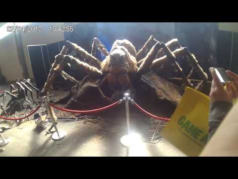 Facts Ghent 2017 Spring edition | One day experience