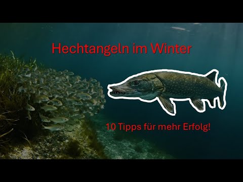 Pike fishing in winter: 10 tips for more success