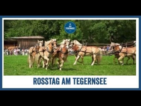 Rosstag in Rottach-Egern am Tegernsee 💙 (2019)