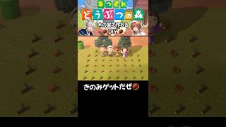 【あつ森】木の実で作れるDIY #acnh #あつ森 #あつまれどうぶつの森 #shorts
