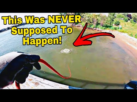 I NEVER Wanted To Find This Magnet Fishing On The Beach!! (WARNING: DANGER)