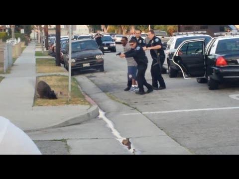 加利福尼亞州霍桑市警察在主人戴上手銬時殺死了狗。 (Hawthorne, CA Police Kill Dog While Owner Handcuffed)