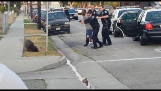 Hawthorne, CA Police Kill Dog While Owner Handcuffed