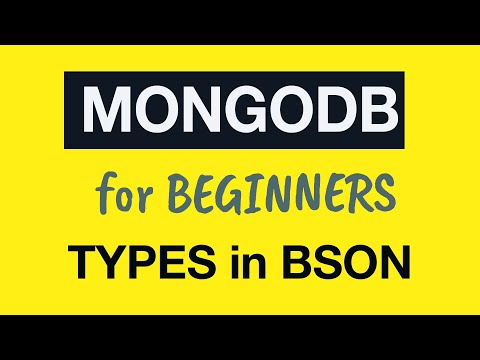 MongoDB Tutorial for Absolute Beginners 15 How types are stored in BSON