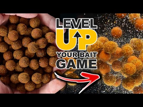 Coated Boilies BURSTING With Attraction 😮 🔥