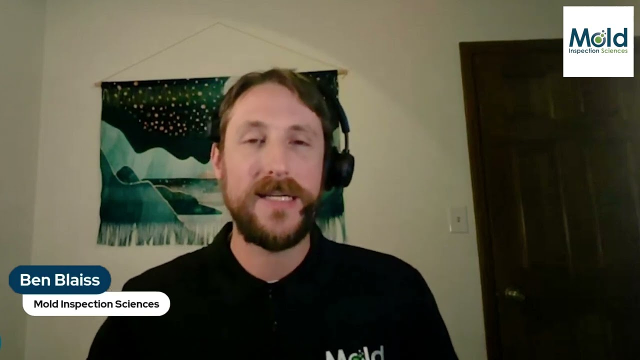 Are there DIY mold testing kits, and are they reliable?