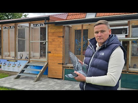 Michał Pitaś - PZHGP 0315 Bochnia / Polish Champion 2025 - Shared lofts!!!