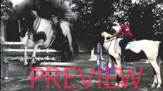 Some kind of Madness