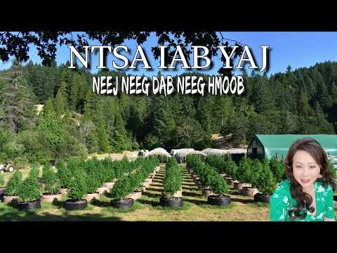 Raug Dab Mooj Pem Teb Xas