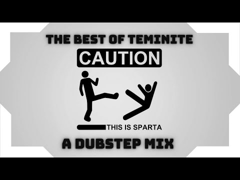 The Best of TEMINITE - A Dubstep Mix