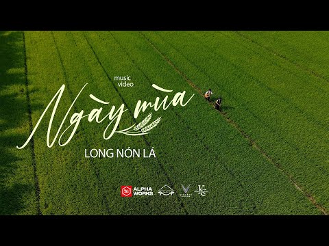 Ngày mùa - Long Nón Lá