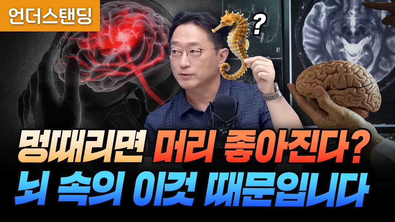 멍때리면 기억력 좋아지는 건 뇌 속의 해마 때문입니다 (서울대학교 뇌인지과학과 이인아 교수)
