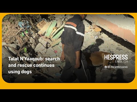Search and rescue efforts continued in Talat N'Yaaqoub using dogs