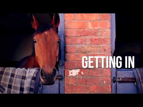 Job Profile - Work Rider