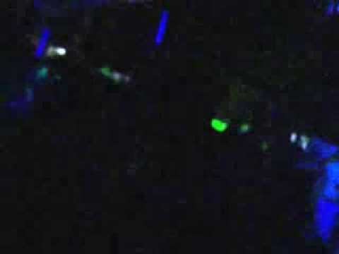 Dirty Devils live at Respect Lost Festival (cananeia 30/04/2012)