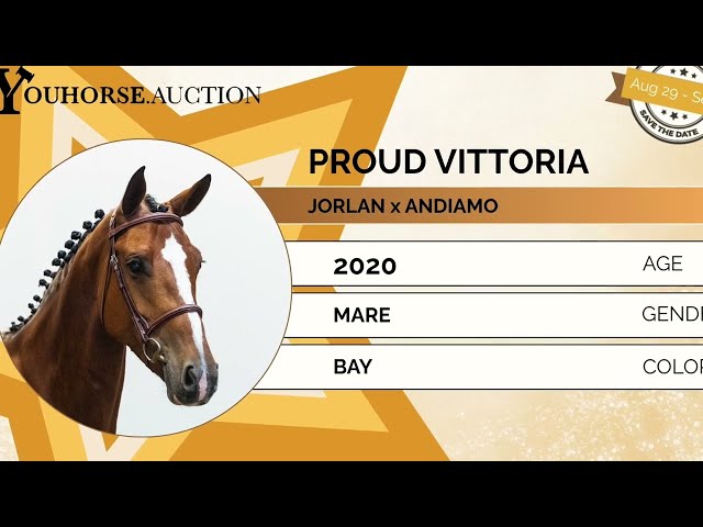 Proud Vittoria showvideo outdoor