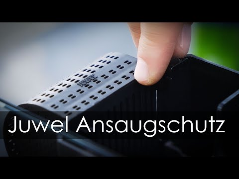 Watch Video on YouTube