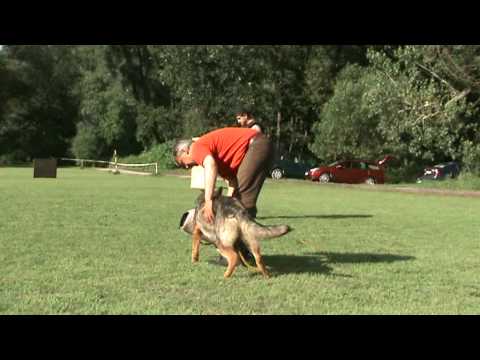 Kynologie Leština 10.7.2009