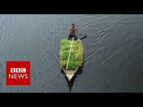 বাংলাদেশের ভাসমান খামার