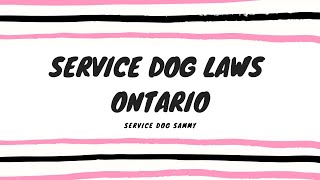 Service Dog Laws Ontario