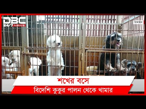 শখের বসে বিদেশি কুকুর পালন থেকে খামার করেছেন টাঙ্গাইলের ব্যবসায়ী