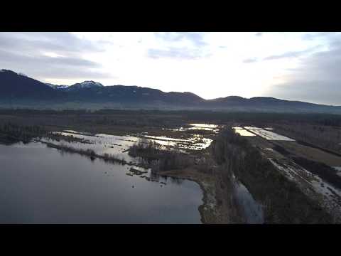 Nicklheimer Moor von oben