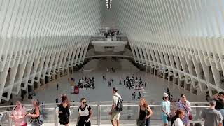 Oculus