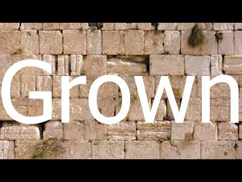 Am I The Only One - Zev Meth - Official Animated Lyric Video זאב מעטה - האם אני היחידי - וידיו מילים