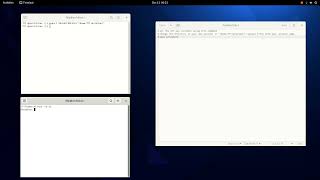 Decrypt SSL traffic using Wireshark and SSL key log file(Linux)