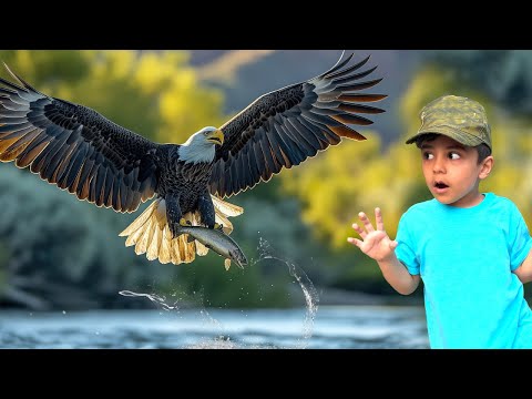 Educational video for kids | Birds of prey | learn ZOO wild animals with Atrin and Soren plus Nikan