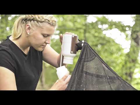 Saaten-Union: Schadinsekten bei Ackerbohnen