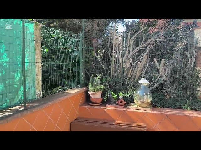 terratetto indipendente giardino e garage