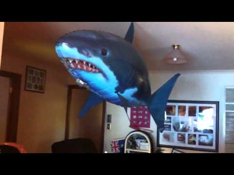 Air swimmers extreme shark
