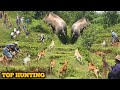 AMAZING HUNTING !!! •BEST OF WILD BOAR HUNTING•A COLLECTION OF VIDIOS Hunt • Top Hunting