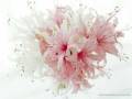 Shape Of My Heart Lyrics by Sting 