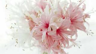 Sting - Shape Of My Heart