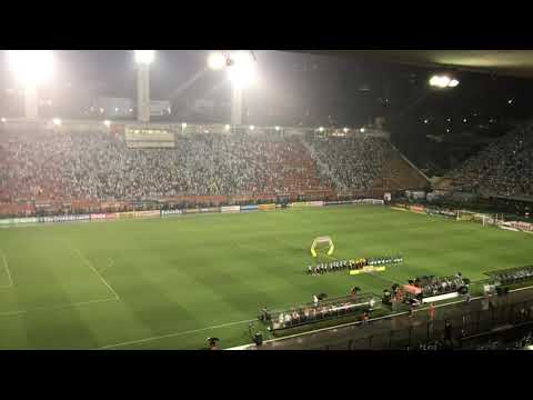 Hino Meu Palmeiras - Pacaembu