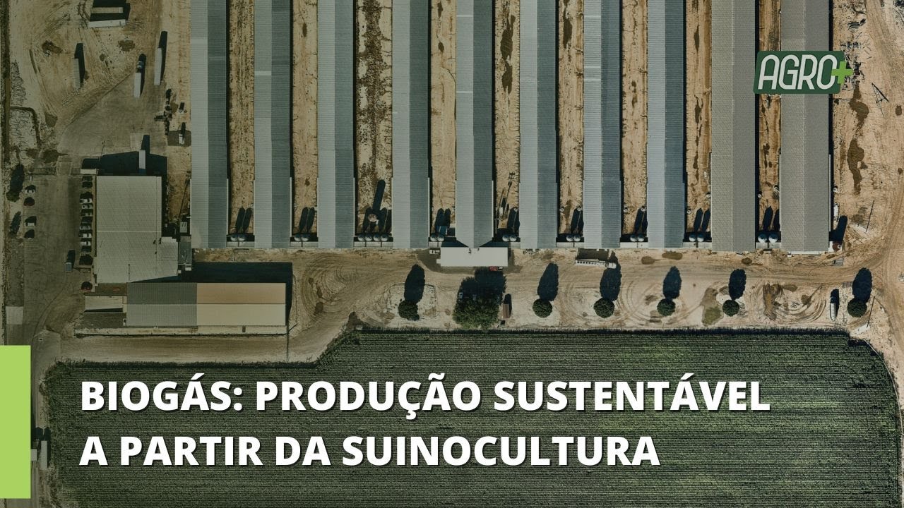 Biogás: Energia Limpa, Renovável e Rentável,  a Partir da Suinocultura