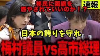 【参政党・梅村みずほ】日本の国旗を燃やしても罰せられない…国旗損壊罪と移民問題を高市総理に直撃！！【2026年4月6日参議院予算委員会】