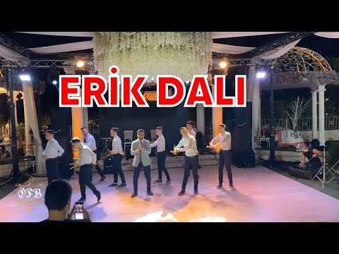 Ömer Faruk Bostan & Grup Kaşıks - Erik Dalı (Canlı Performans)