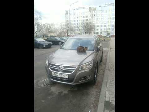 Nathan K ft Ricky Rich - Hon e fly