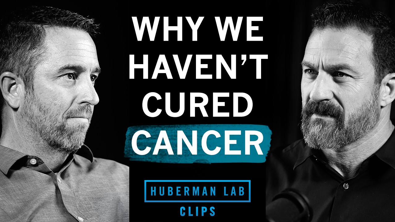 Why Cancer Is So Hard to Cure | Dr. Jared Rutter & Dr. Andrew Huberman