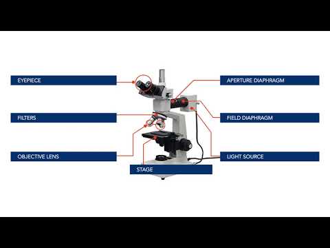 ASM Digital Short Course: Metallographic Techniques Part 2