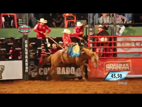 Rodeio de Colorado 2016 - MELHOR CAVALO