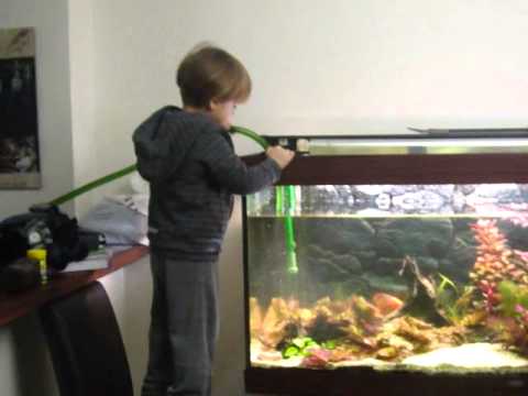 comment nettoyer aquarium