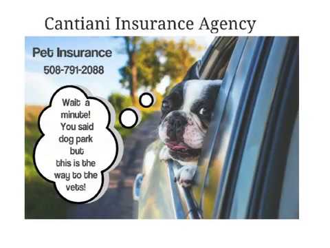Cantiani Insurance Agency Offers Pet Insurance