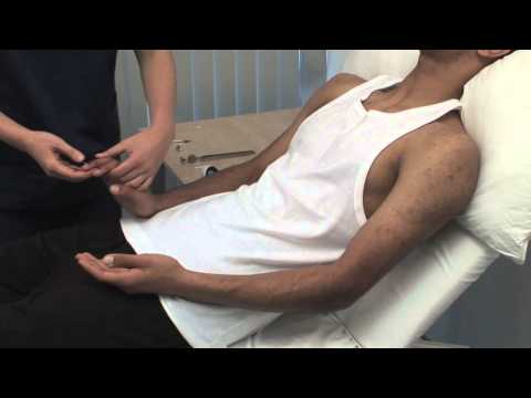 Macleod's examination of the sensory system of the upper limbs