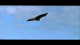 FRONT LINE ASSEMBLY - Afterlife